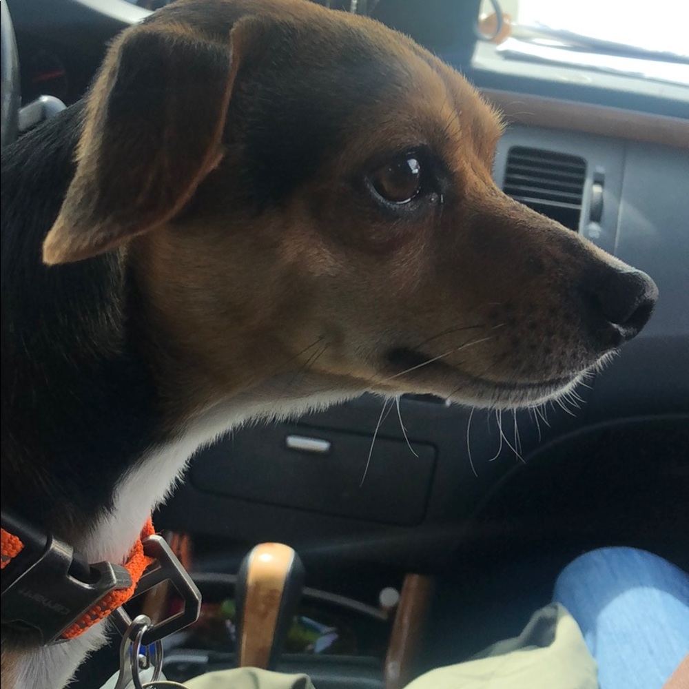 Meet your Posher, Avery